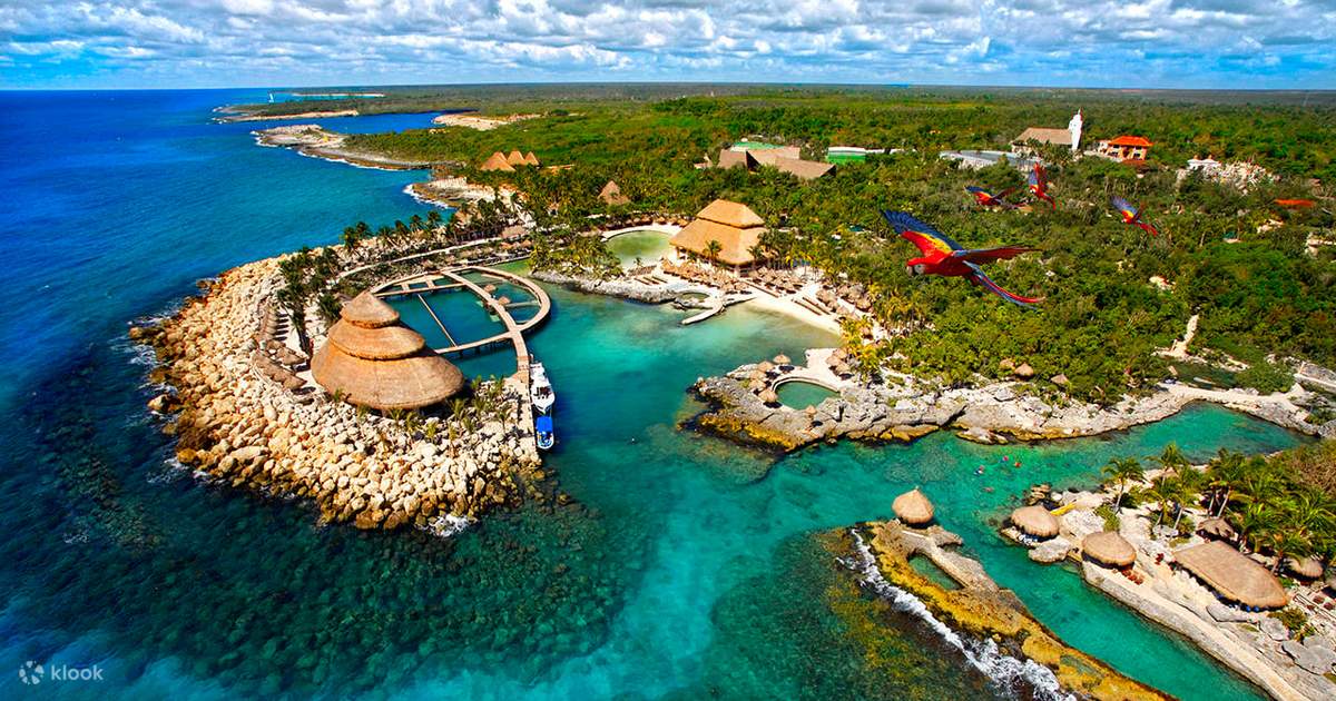 Skechers online xcaret outlet